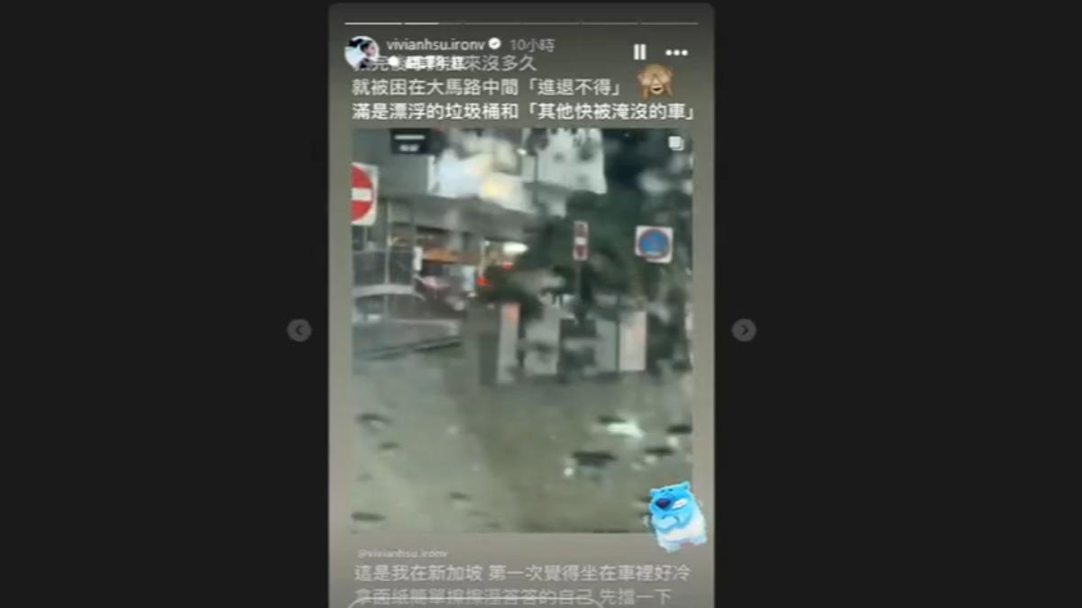畫面翻攝 徐若瑄IG