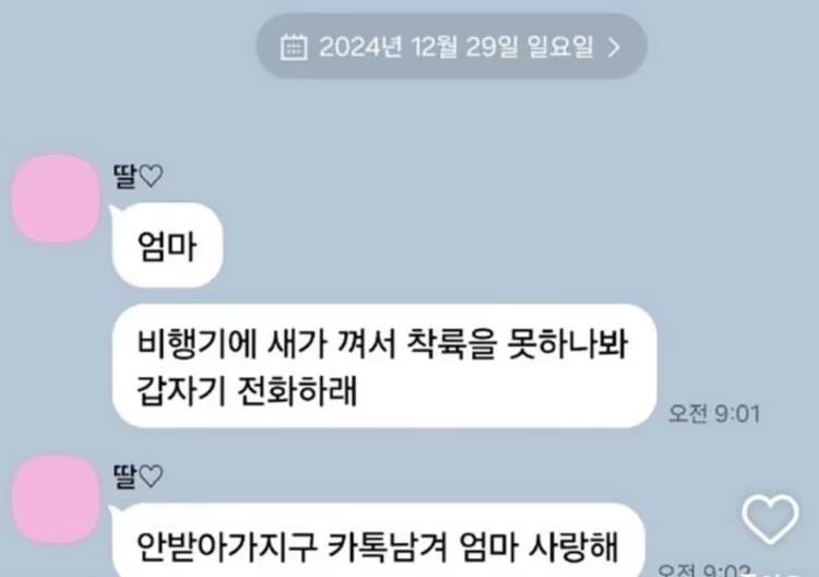 疑似機上女乘客向母親留下遺言。(圖/翻攝自X)