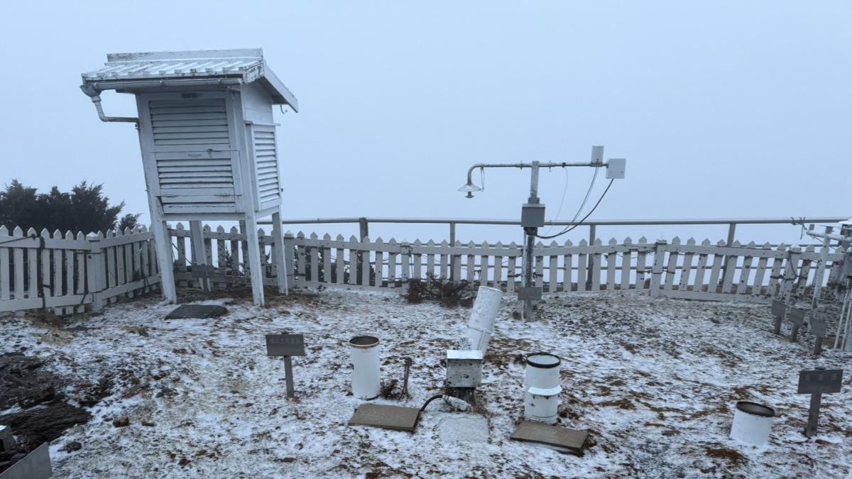 清晨0.3度凍到結冰!玉山「雨夾冰霰」 銀白世界美景曝光