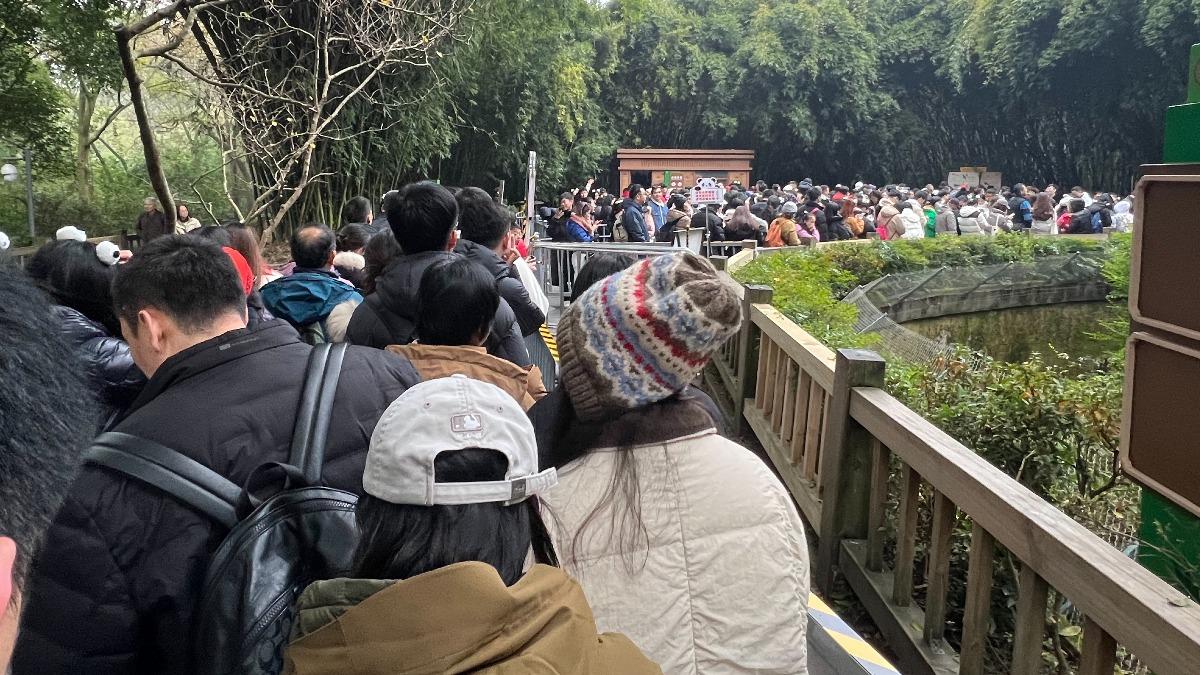 非假日排隊看花花人龍(特派記者:林閔榛拍攝)