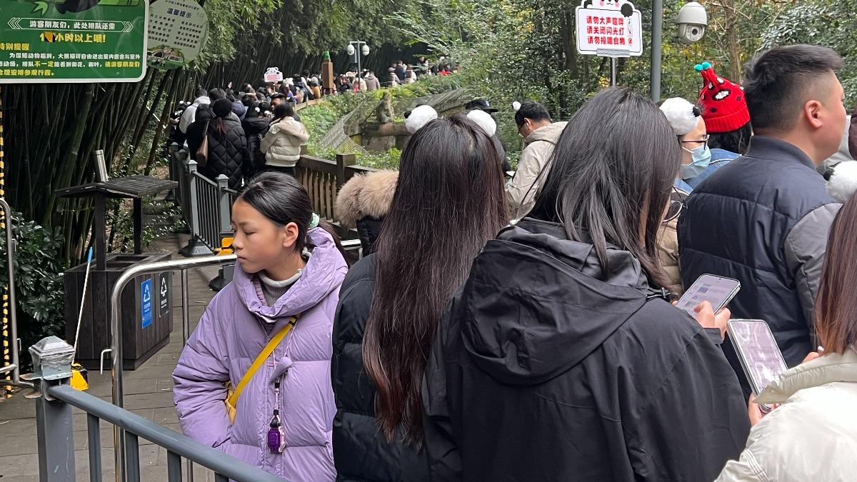非假日排隊看花花人龍(特派記者:林閔榛拍攝)
