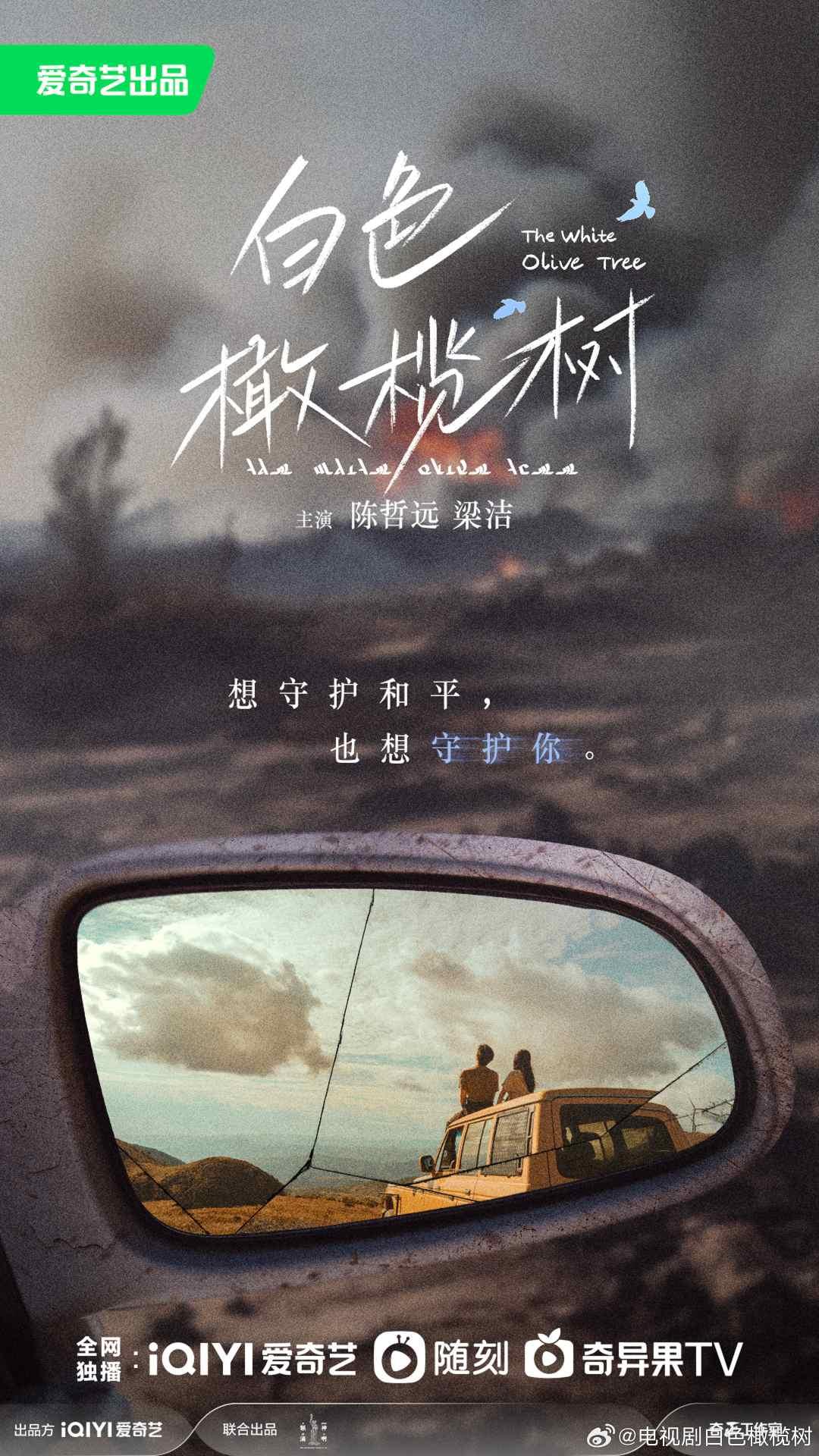 陸劇推薦-陸劇推薦2025-白色橄欖樹-現代愛情