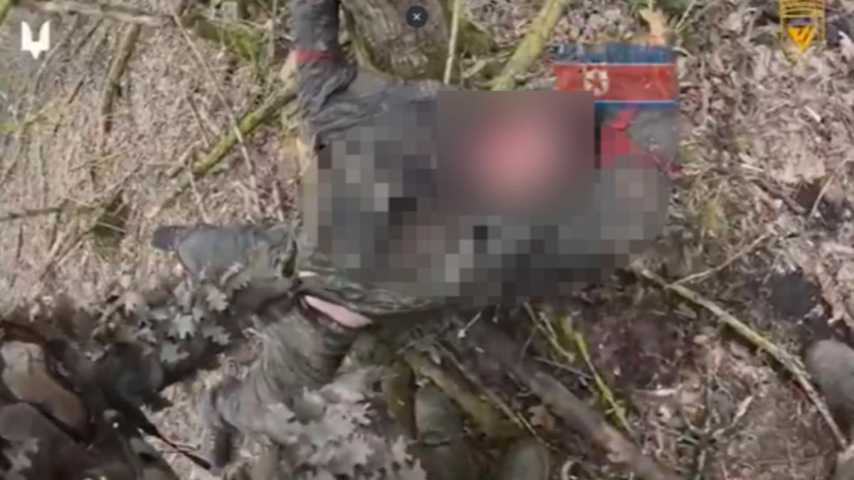 北韓援俄挨批瘋子亂射!朝鮮兵誤殺3俄軍 遭烏軍殲滅陣亡照片曝