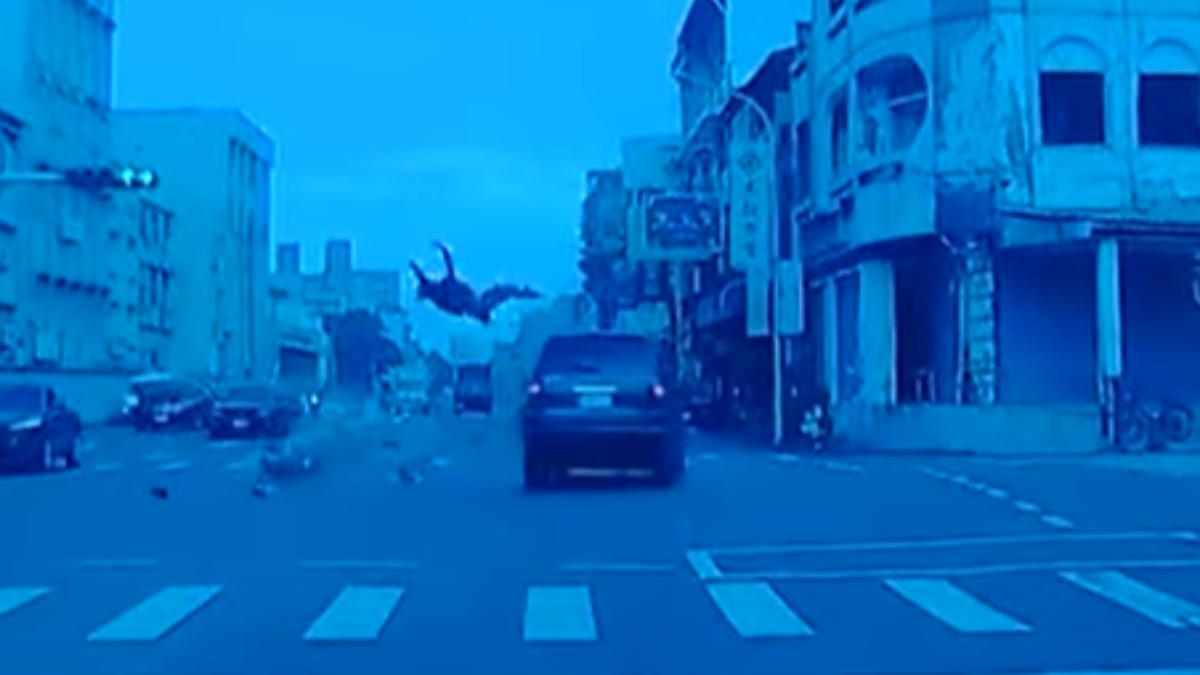 嘉義騎士被拋飛約一層樓高。(圖/翻攝自嘉義綠豆大小事)