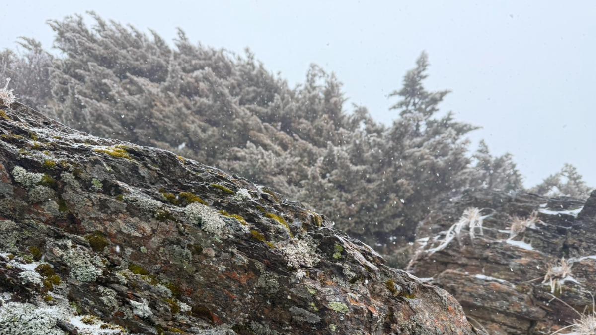 天氣/玉山又下雪「持續35分鐘」!連2天飄雪 絕美景象曝