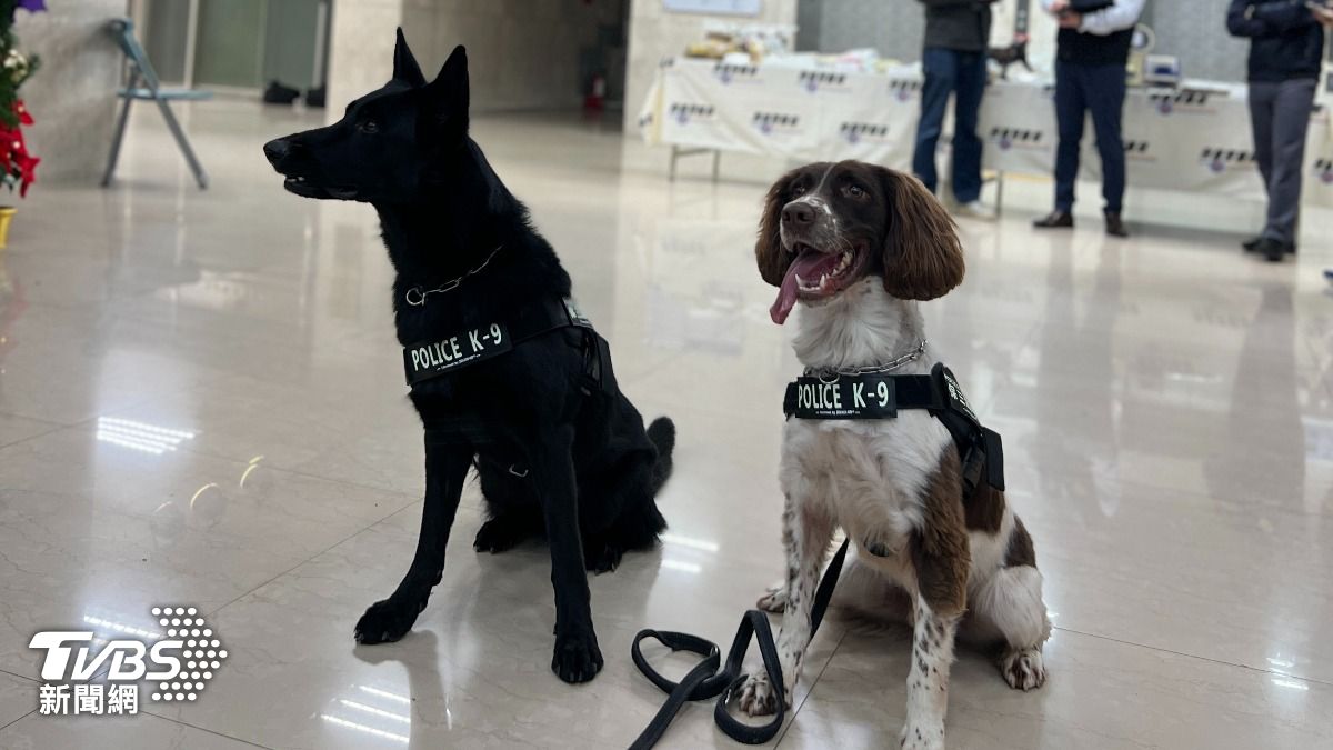 高雄回收場成「毒品雜貨店」　警率2犬攻毒窩、速逮8嫌到案
