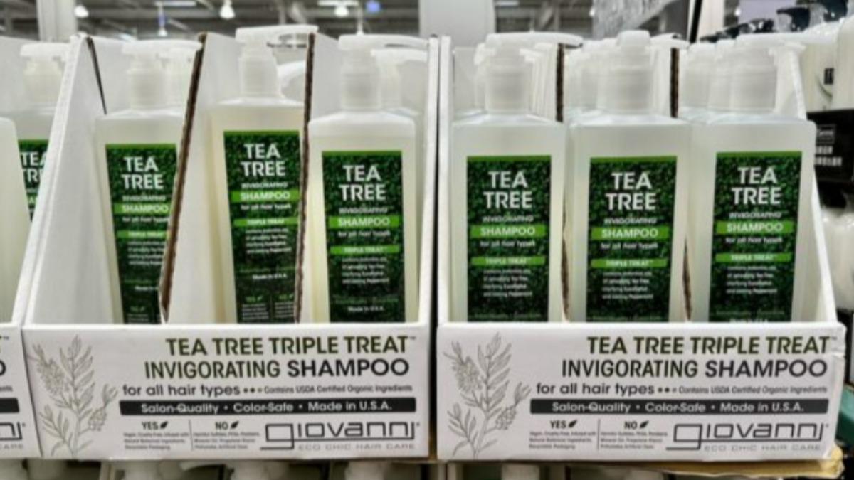 GIOVANNI茶樹洗髮精。（圖／翻攝自今購百科官網）