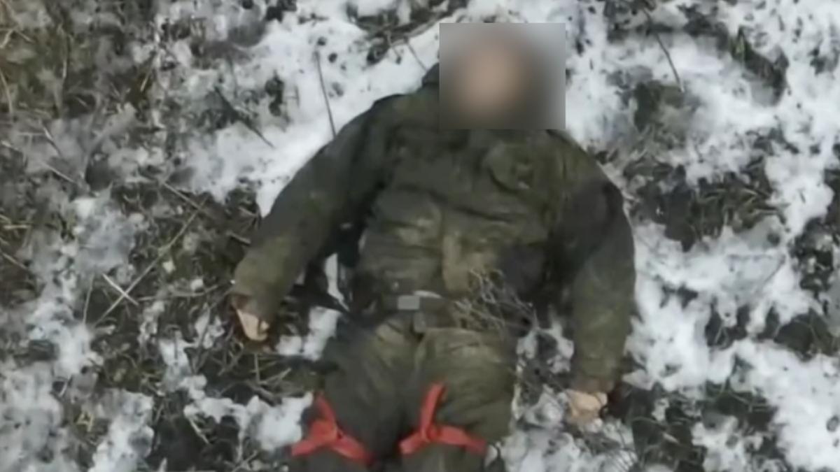澤倫斯基表示,預估已有逾3千名北韓士兵戰死。(圖/翻攝自REDDIT)