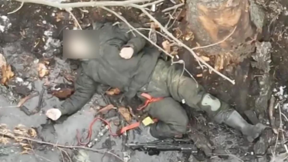 澤倫斯基認為庫斯克地形和北韓軍不擅長先進武器,是大批北韓士兵戰死的原因。(圖/翻攝自REDDIT)