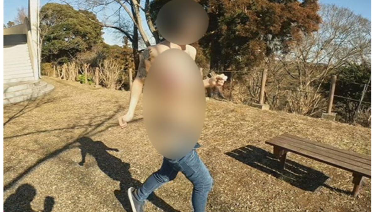 有民眾發現成人片拍攝地點是一座受歡迎的公園。(圖/翻攝自opentemplate.org)