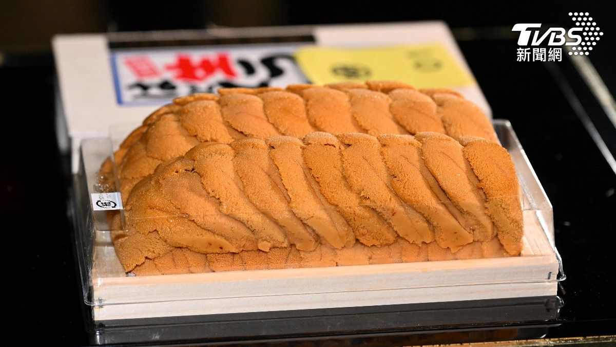 海膽王現身豐洲市場 拍出700萬日圓創新高、一貫壽司賣40萬