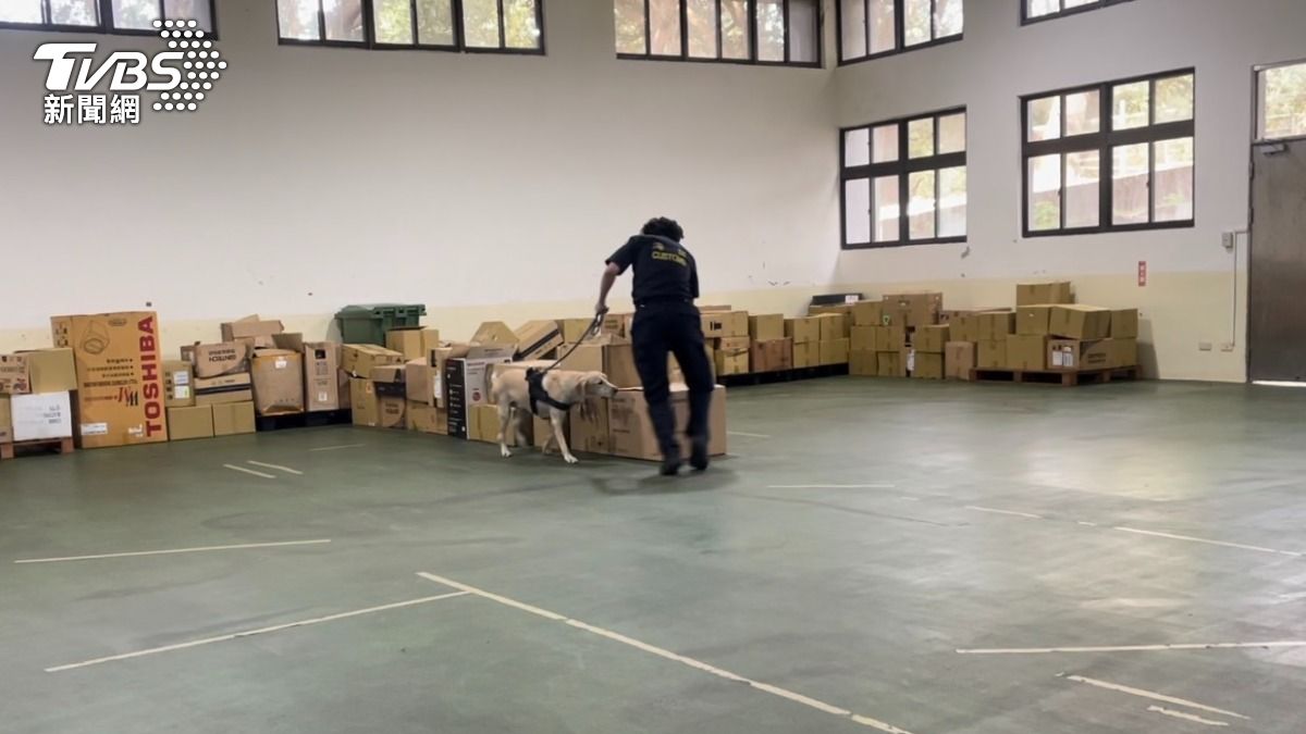 訓練緝毒犬緝毒。(圖/潘千詩攝)