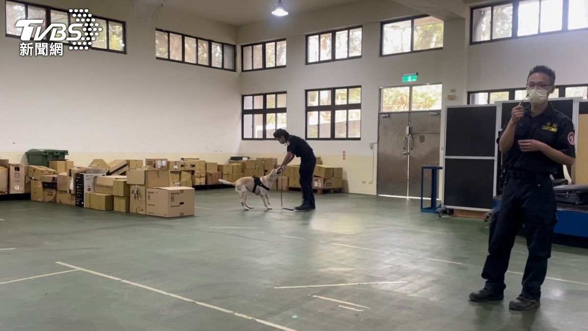 緝毒犬緝毒成功後,和犬隻遊戲互動。(圖/潘千詩攝)