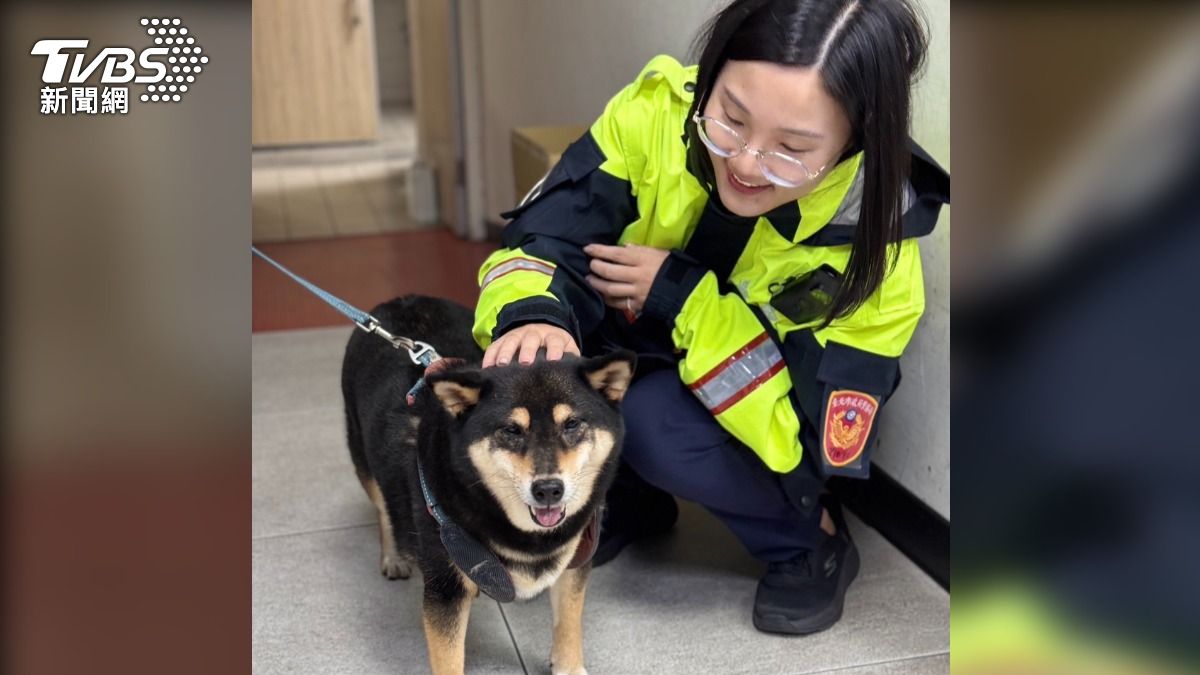 北投分局永明派出所警員游雅婷耐心幫走失的熊熊找回飼主。（圖／TVBS）