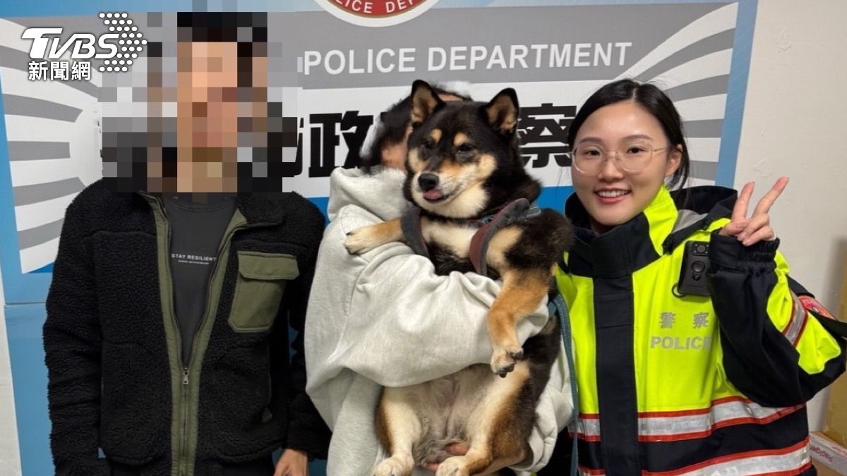 透過熊熊身上晶片，順利找到飼主讓牠不再流浪。（圖／TVBS）