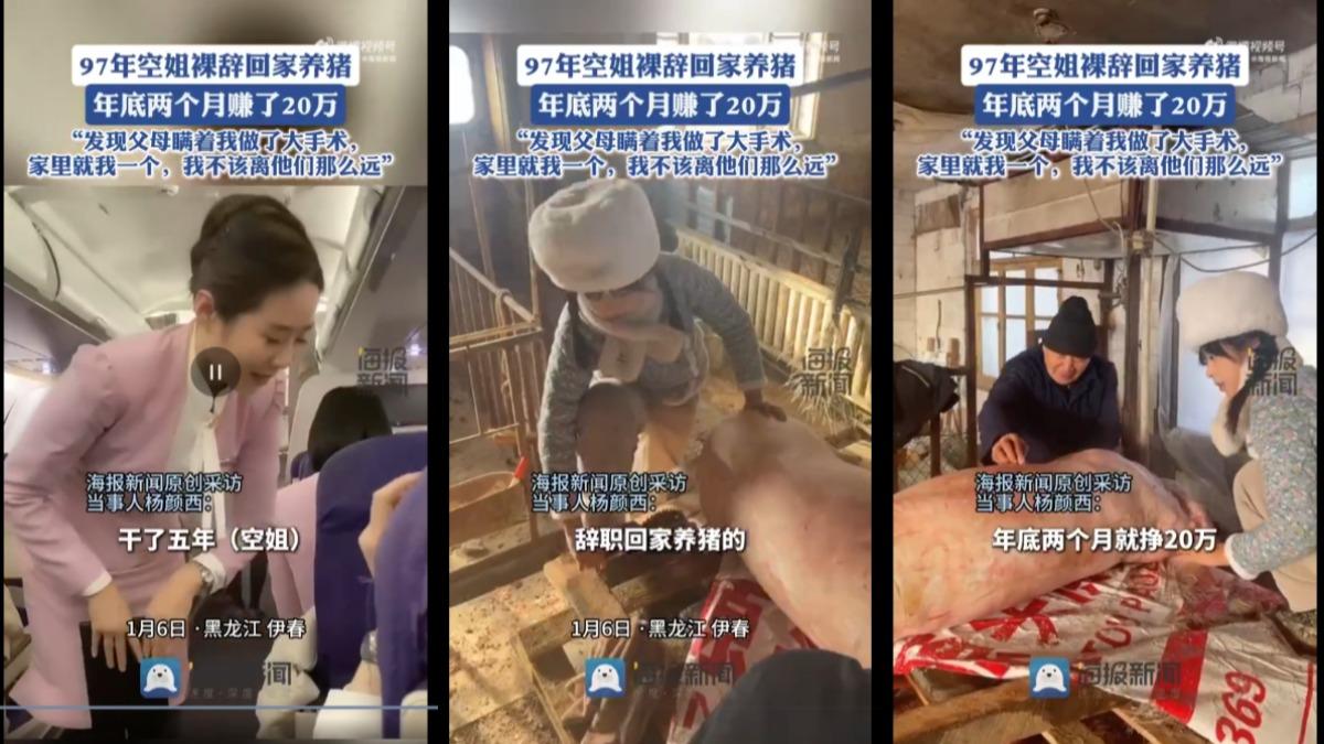 陸空姐裸辭翻身!「返鄉養豬」意外爆紅 2月海撈近90萬
