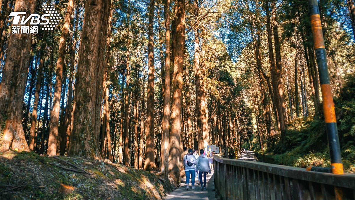 阿里山國家公園。（示意圖／達志影像shutterstock）
