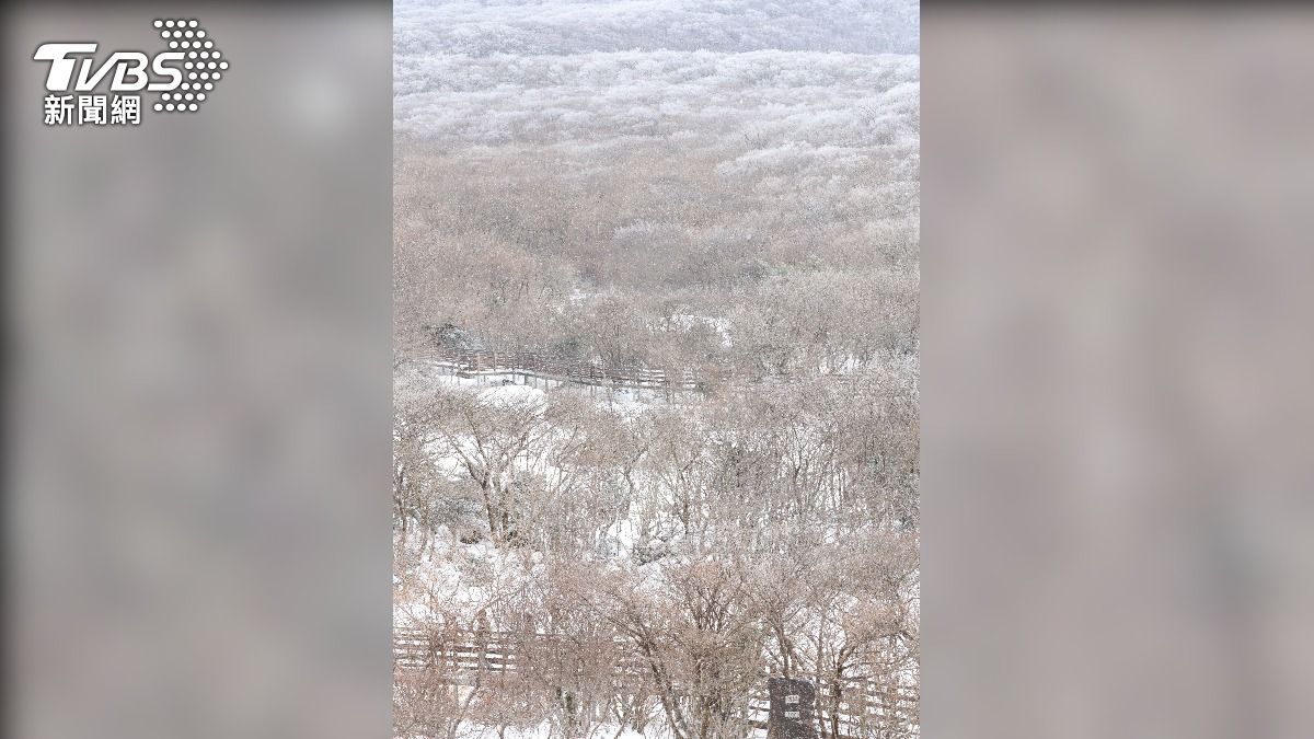 白雪覆蓋的南韓漢拿山。(圖/達志影像Newscom)