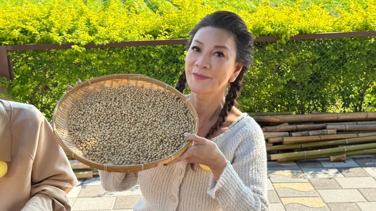 楊繡惠分享情史。(圖/民視提供)