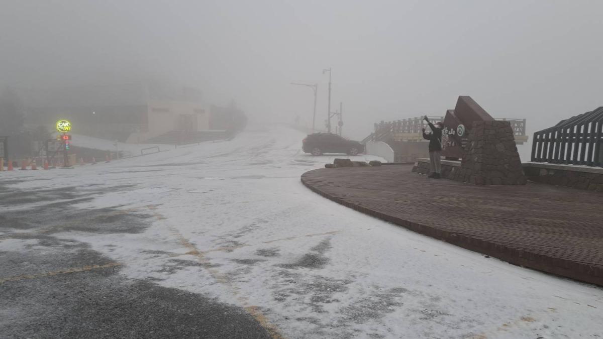 全台急凍！合歡山一早下雪了　一片霧濛濛「雪白美景」曝光