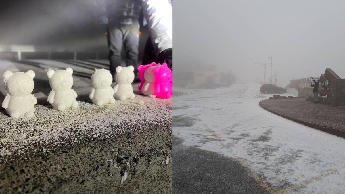 合歡山一片雪白!遊客嗨堆「熊熊雪人」 交通部籲上山必做1事