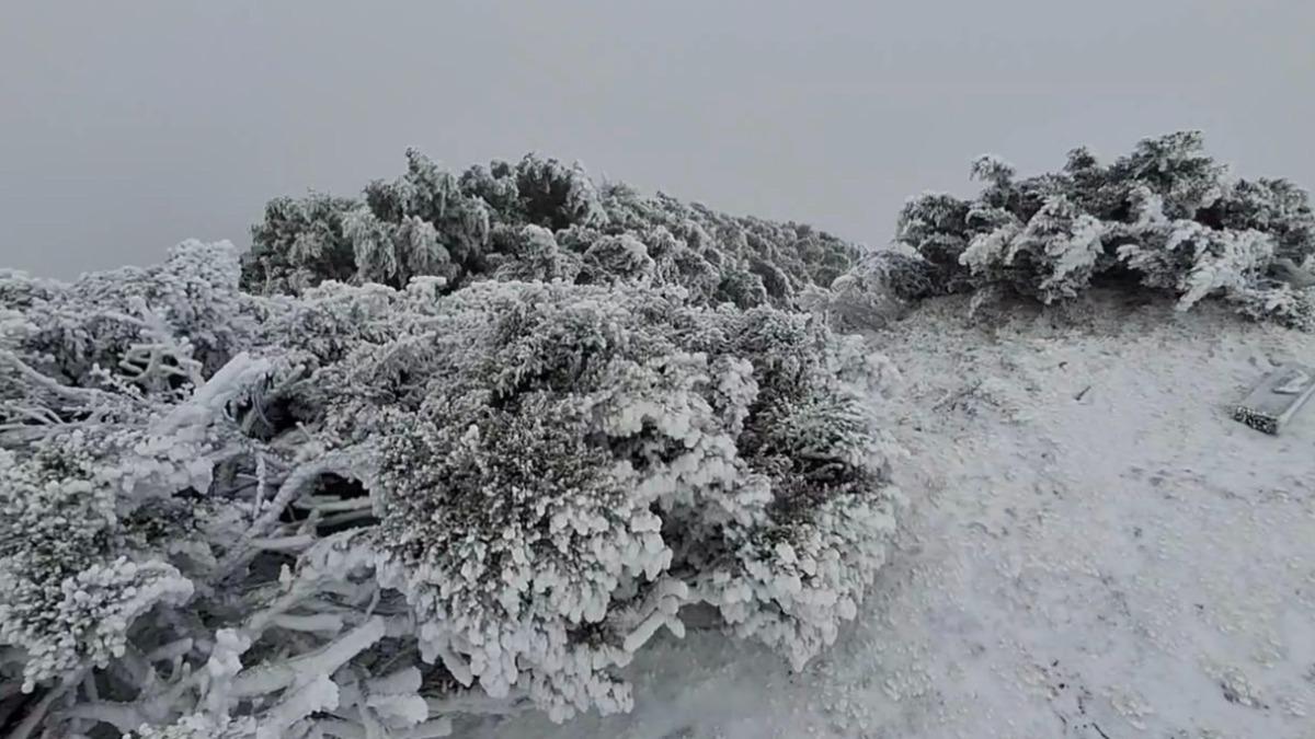 天氣/今高山有望追雪!下波冷空氣報到時間曝 恐達冷氣團等級