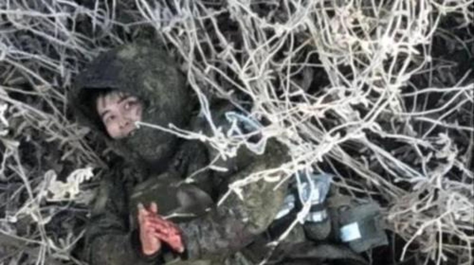 北韓軍遭俄軍當「地雷偵測犬」使用 肉身踩雷炸死助隊友前進