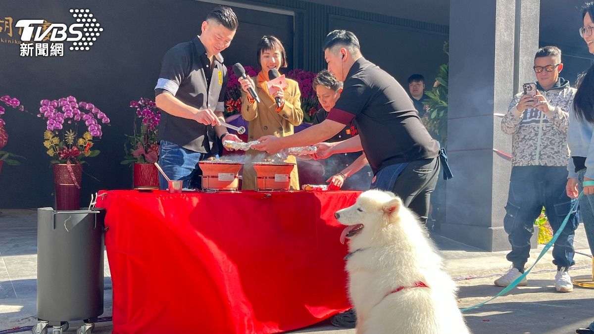 薩摩耶開心等肉肉。(圖/陳祁攝)