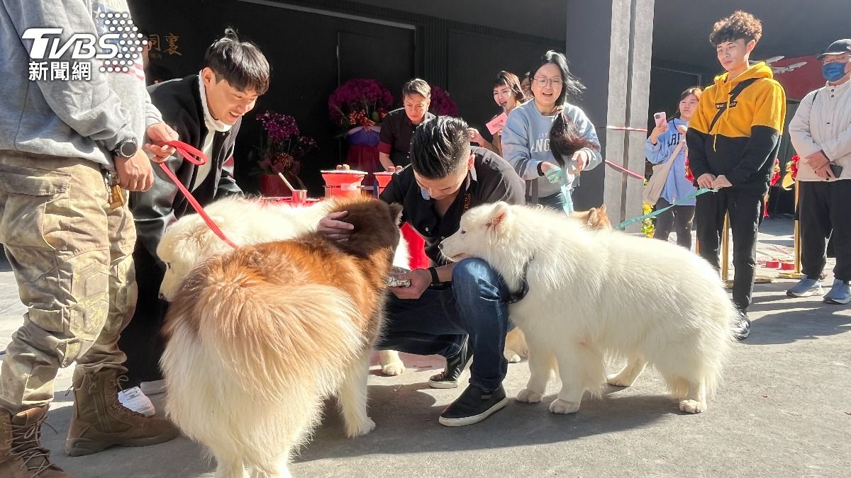 董事長吳念忠餵食狗狗。(圖/陳祁攝)