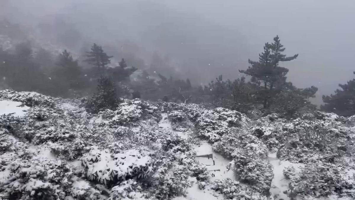 玉山氣象站觀測員李正紀提供