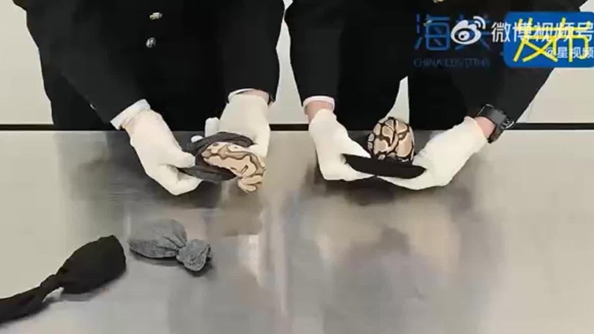 圖/翻攝自 微博