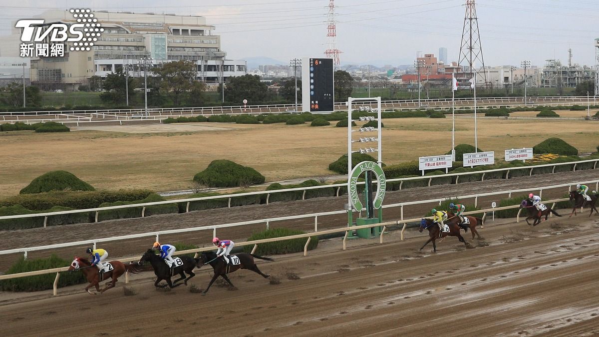 日兵庫賽馬失控暴走「衝撞2馬」　騎手遭甩飛頭部重創亡