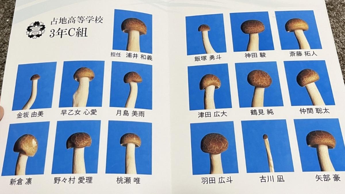 每個鴻禧菇都有名字。（圖／翻攝自X@ARuFa_FARu）
