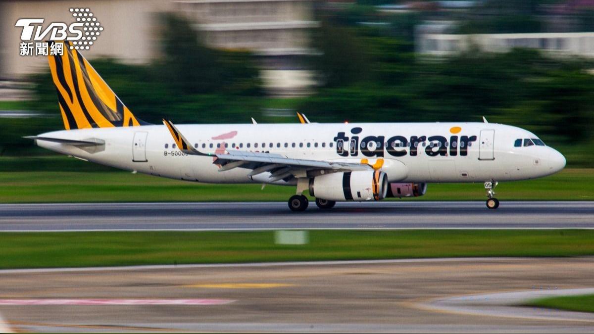 創航空業紀錄!台灣虎航年終平均12.8個月 今年再調薪4%