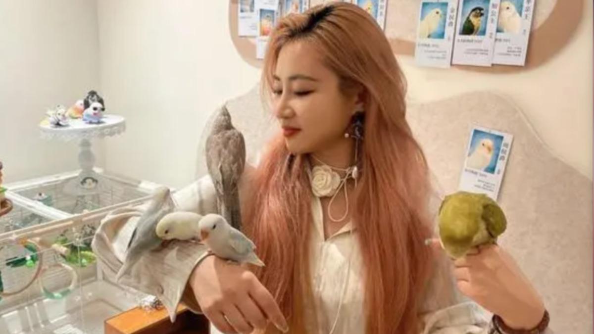 生活快節奏壓力大 大陸青年掀起「撸鳥潮」