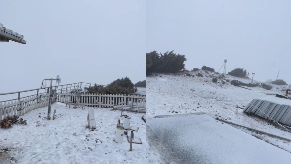 天氣／玉山又下雪了！過1小時仍持續中　銀白世界美景曝
