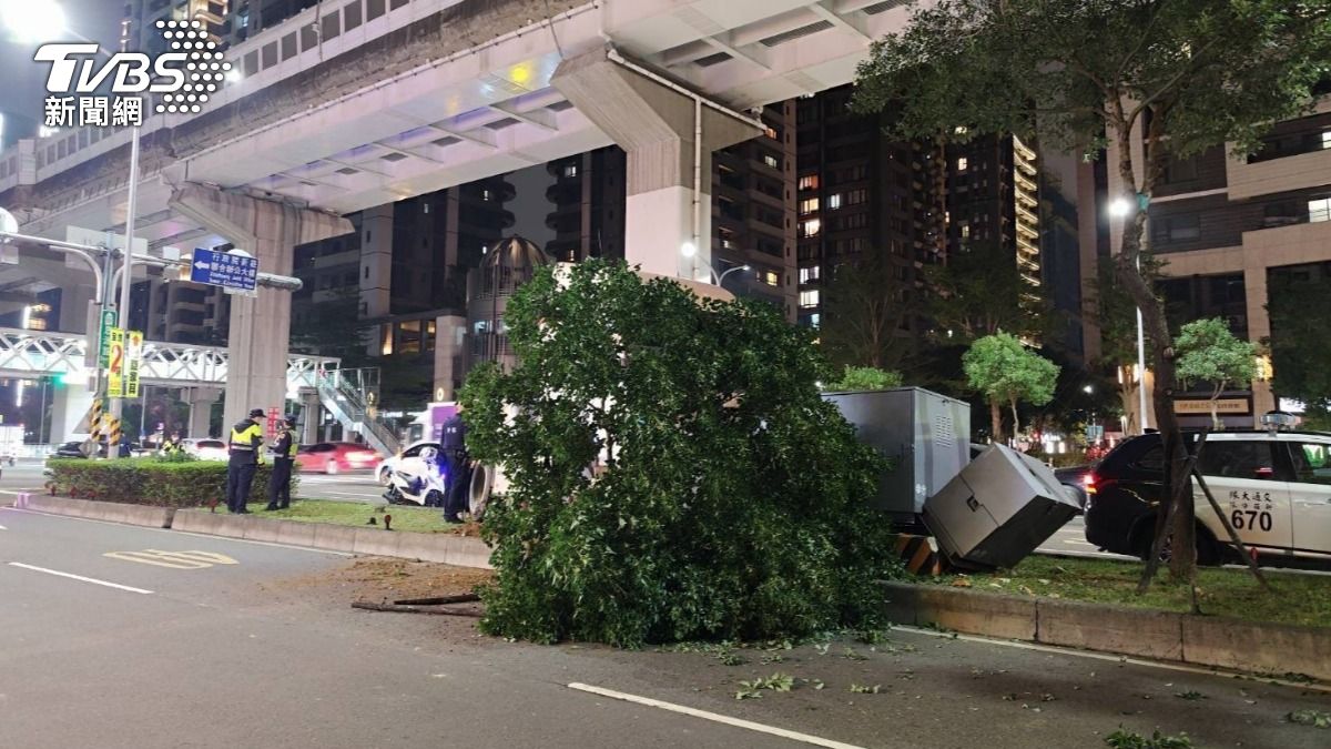 曳引車失控衝撞變電箱,造成路樹斷裂。(圖/TVBS)