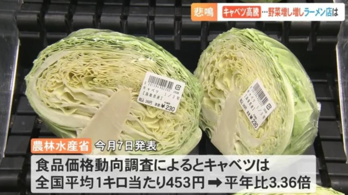 日本高麗菜價「狂漲近4倍」 拉麵店壓力大只能硬撐