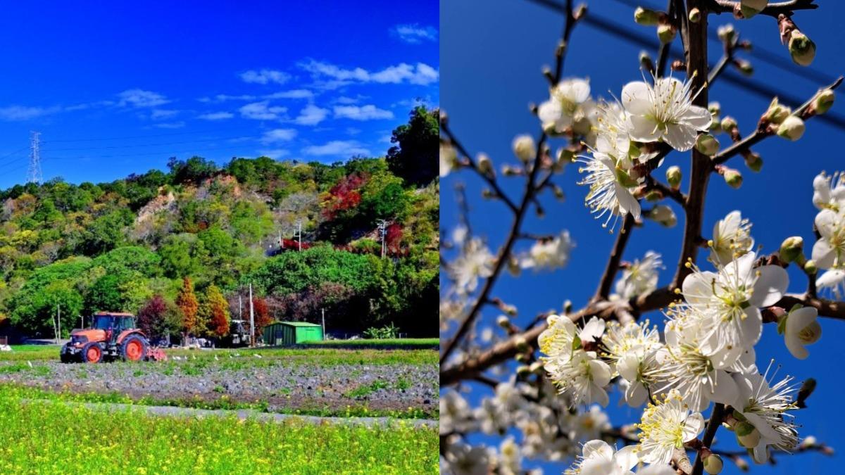 接力年貨大街！2025台中走春去哪玩　6大私房景點