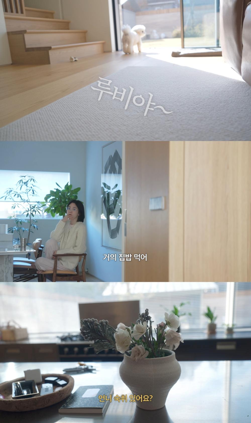 宋慧喬的家擺設素雅,還養了一隻叫做Ruby的狗。(圖/翻攝自iammingki YouTube)