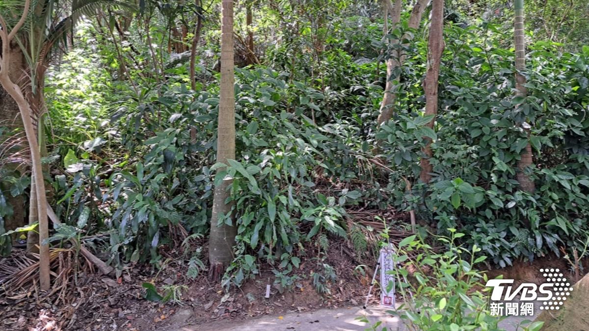 執行署新春後首拍!中和大樓建物、43筆土地等你來競標