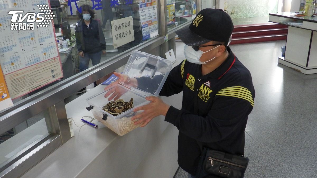 不是道具!歸仁警扮劫匪「放蛇搶農會」 民眾嚇壞:是真的
