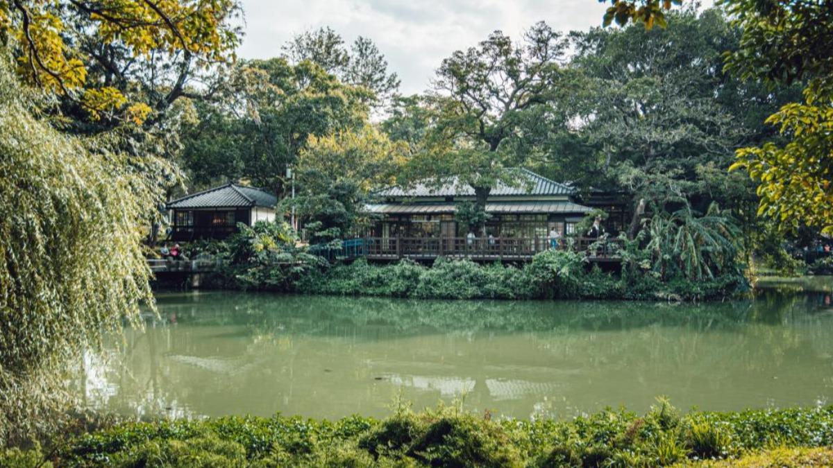 新竹公園驚見斷頭、器官散落貓屍!民眾目睹嚇哭 竟是同區域第3隻
