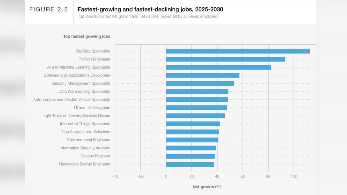 2025-2030年成長最快新興職位預測。（圖／翻攝自《2025年就業前景報告》）