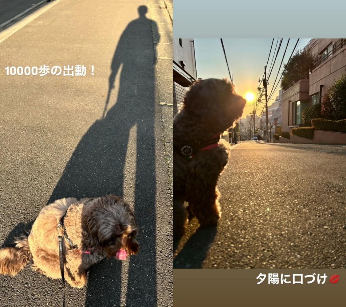 木村拓哉照常散步遛狗。(圖/翻攝自木村拓哉IG)
