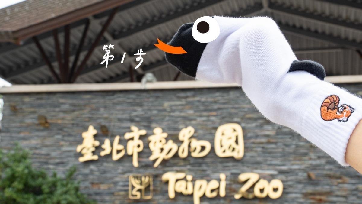 春節哪好玩?北市動物園推「蛇年立體開運金」