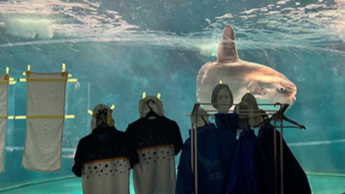 日本水族館翻車魚沒人看　食不下嚥放紙板人治抑鬱