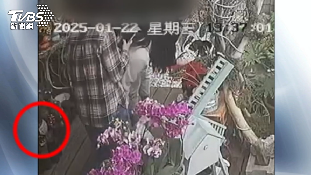 圖/TVBS
