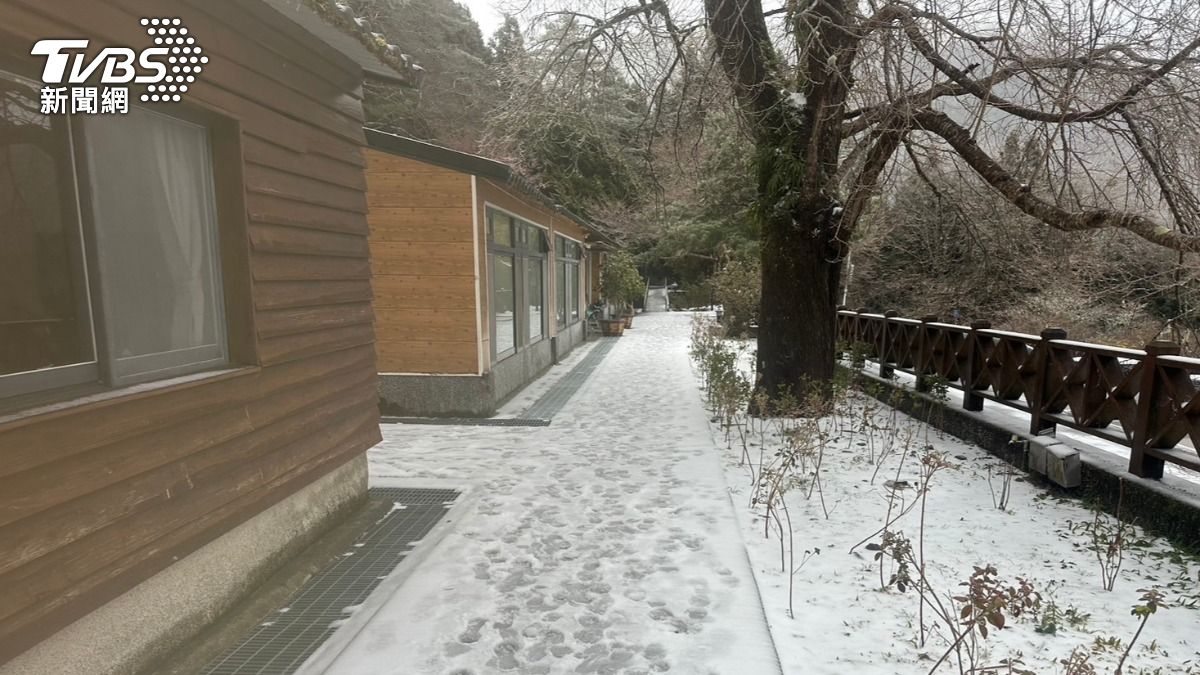苗栗觀霧山莊下雪了!(圖/TVBS)