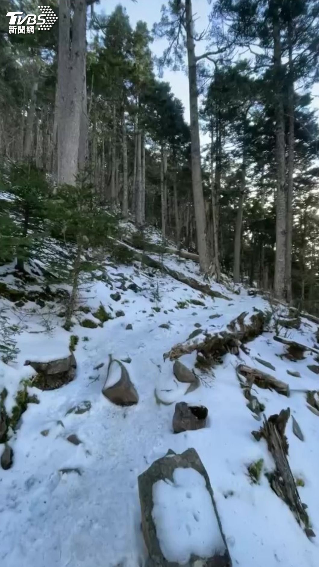 雪霸國家公園也下雪了，白茫茫一片超美。（圖／TVBS）